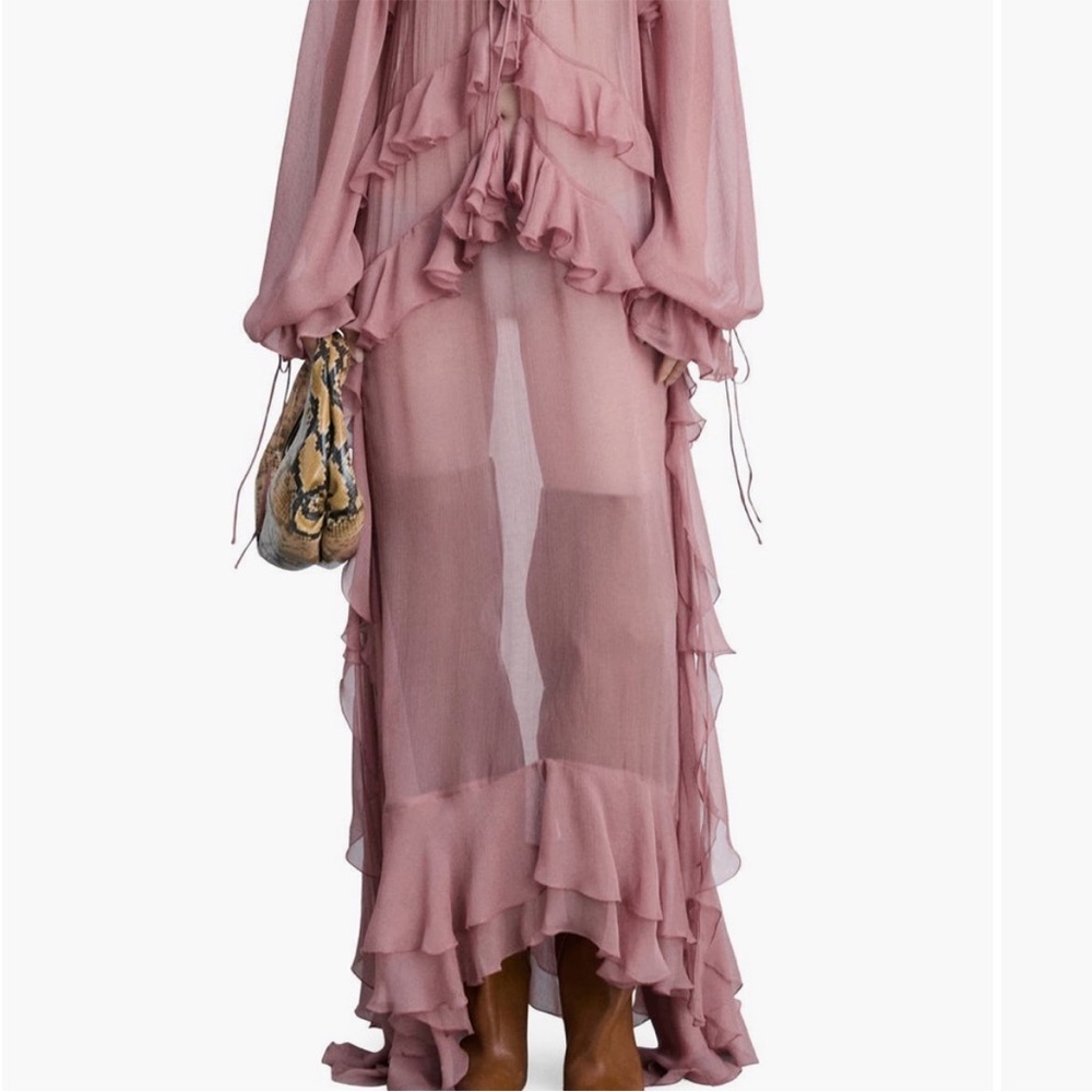 Sheer Pink Ruffled Maxi Dress